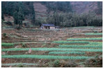 A0506-01