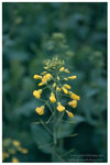 A0506-04