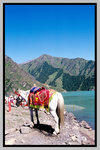 Xinjiang_135P_001