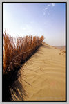 Xinjiang_135P_017