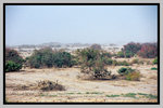 Xinjiang_135P_033