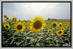 Xinjiang_135P_093