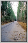 Xinjiang_135P_098