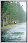 Xinjiang_135P_099