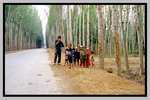 Xinjiang_135P_102