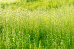 photo (1)