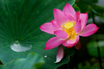 photo (10)