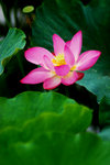 photo (11)