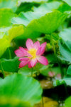 photo (12)