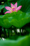 photo (13)