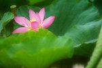 photo (14)