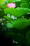 photo (15)