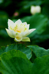 photo (16)