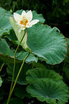 photo (17)