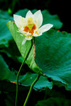 photo (18)