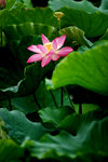photo (19)