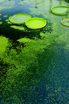 photo (2)