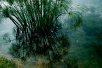 photo (3)