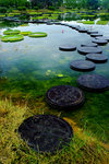 photo (4)