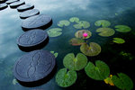 photo (5)