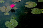 photo (6)