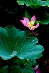 photo (7)