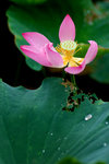 photo (9)