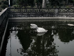 IMG_5795