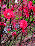 IMG_5844