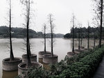IMG_5878