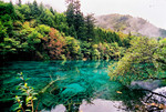 photo1 (74)