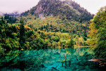 photo1 (86)