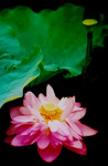 photo (18)