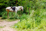 photo (1)