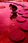 photo (15)