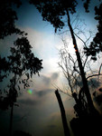 photo (1)
