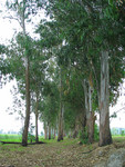 photo (2)