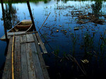 photo (3)