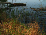 photo (4)