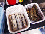IMG_20210117_173853