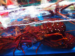 IMG_20210301_181428