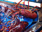 IMG_20210301_181436