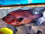 IMG_20210301_182243