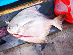 IMG_20210301_182302
