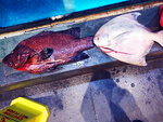 IMG_20210301_182308