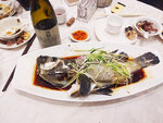 IMG_20210423_194656