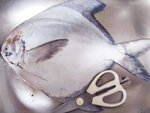 IMG_20211120_145203