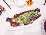 IMG_20220730_200135