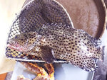 IMG_20221117_181039