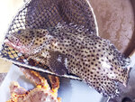 IMG_20221117_181042